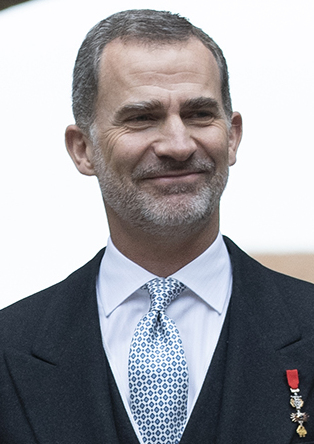 Diez Años de Rey Felipe VI: El Rey que Heredó un Trono al Borde de la Crisis